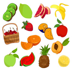 Set of bright colored fruits on white background