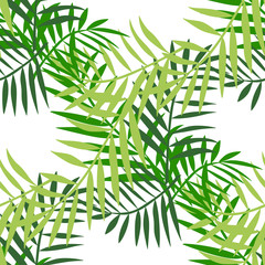 Palm leaves color seamless 3