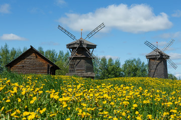 Field of sun flowers and wooden windmills