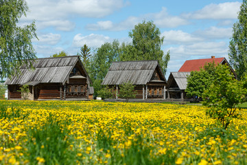 Obraz na płótnie Canvas Field of yellow flowers and a wooden huts in Russian countryside