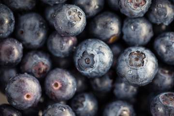 Fresh, ripe blueberries