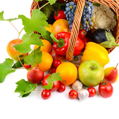 Naklejka na ściany i meble vegetables and fruits in basket isolated on white background
