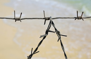 Fragment of the barbed wire fencing
