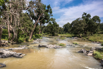 Tamil Nadu, India - October 26, 2013: Landscape shot of Moyar River in Masamigulli Forest. Brownish...