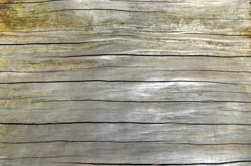 Fototapeta premium Holz-Hintergrund