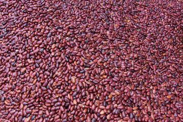 Red kidney beans in San Salvador, El Salvador