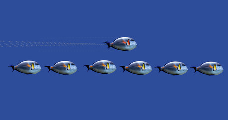 Illustration of tropical fishes on concept :  speed up the process