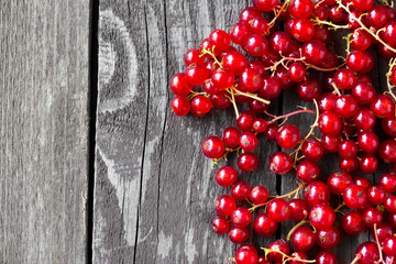 fresh fruits currant background.