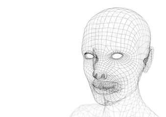 Wireframe young woman head