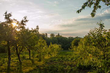 Деревенский сад