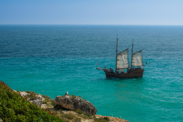 Sailboat on ocean and seagull