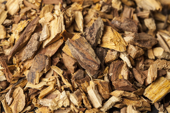 Agarwood, also called aloeswood, aloes, incense chips