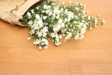 flowers on the old  wooden background