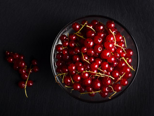 Red currant