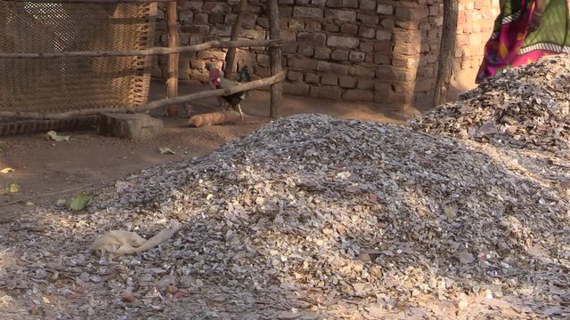 Mica in Indian village. Mountain of mica