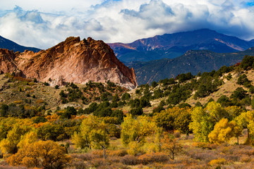 Autumn Aspen in Garden of the Gods