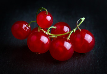Red currant