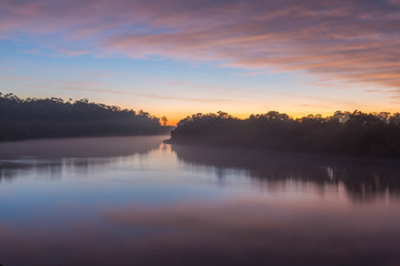 Obraz premium A Misty Morning on Tingalpa Creek