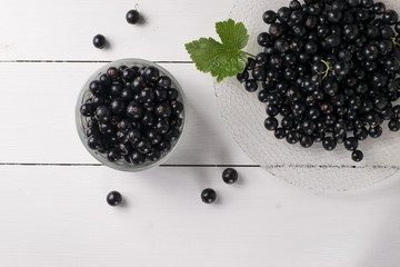 Black currant on a white background