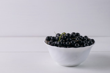 Black currant on a white background