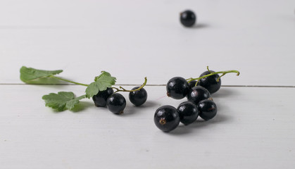 Black currant on a white background