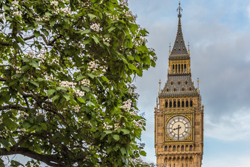 Great view of Big ben (Elizabeth tower) in the evening