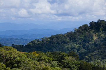 Layers of jungle and rivers valleys in Madidi National Park, Bolivia
