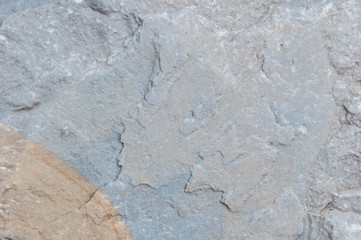 Gray and brown sandstones texture