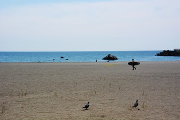 鳩のいるビーチ/湘南ビーチ