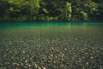 Turquoise river in a forest. - 162013930