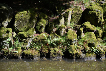 Flussbett