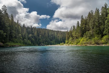 Foto op Plexiglas Een rivier die op een bewolkte dag door een bos stroomt. © RyanTangPhoto