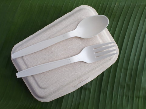 Bioplastic Spoon Fork And Disposable Lunch Box On Banana Leaf