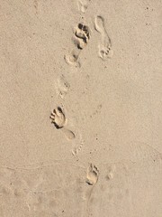 Footprints in the sand
