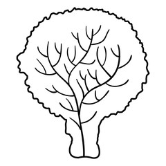 lettuce fresh vegetable icon vector illustration design