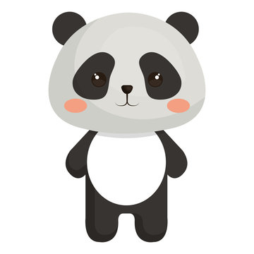 Stuffed animal panda icon vector illustration design graphic