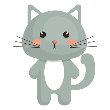 Stuffed animal cat icon vector illustration design graphic