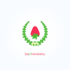 Best Strawberry, Logo, Fruit, Berries, Juice. Vector Illustration. - 162023572