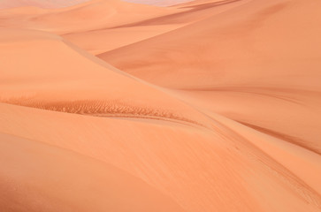 Fototapeta na wymiar Desert Art