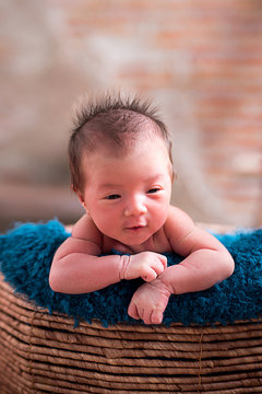 13day newborn with beautiful photo