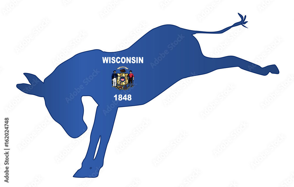 Canvas Prints Wisconsin Democrat Donkey Flag