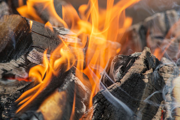 Abstract background of firewood