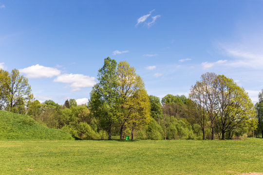 Spring sunny landscape