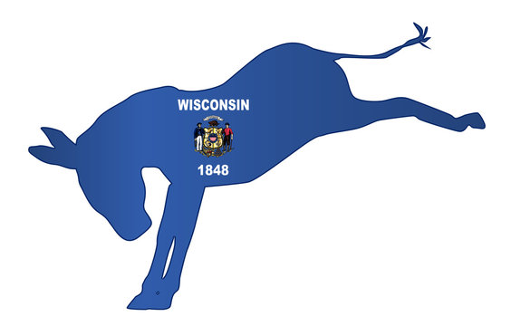 Wisconsin Democrat Donkey Flag