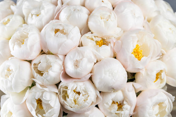 White peonies in vase. retro styled photo. close-up