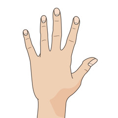 Illustration with hand. Hand icon showing five fingers with nails