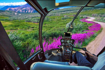 Spectacular helicopter flight from control cockpit cabin on Denali National Park, Alaska, United States. Scenic flight in popular National Park. Summer season.