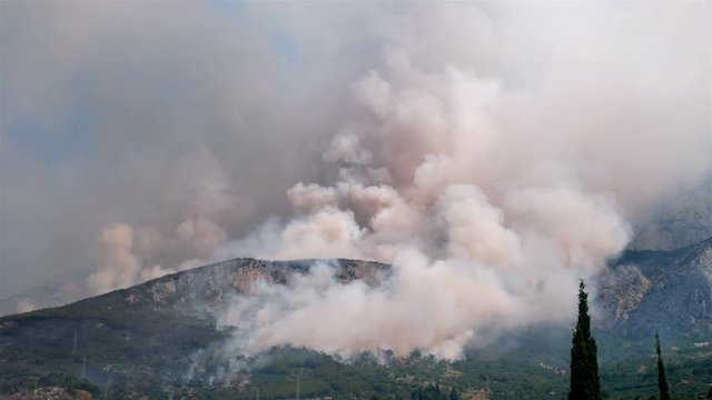 Large fire burning in green forest below mountain Biokovo in Croatia