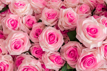 Rose - Flower, Bouquet, Flower, Orchid, Wallpaper