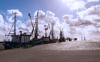 Krabbenkutter im Hafen von Schlüttsiel